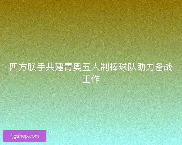 四方联手共建青奥五人制棒球队助力备战工作